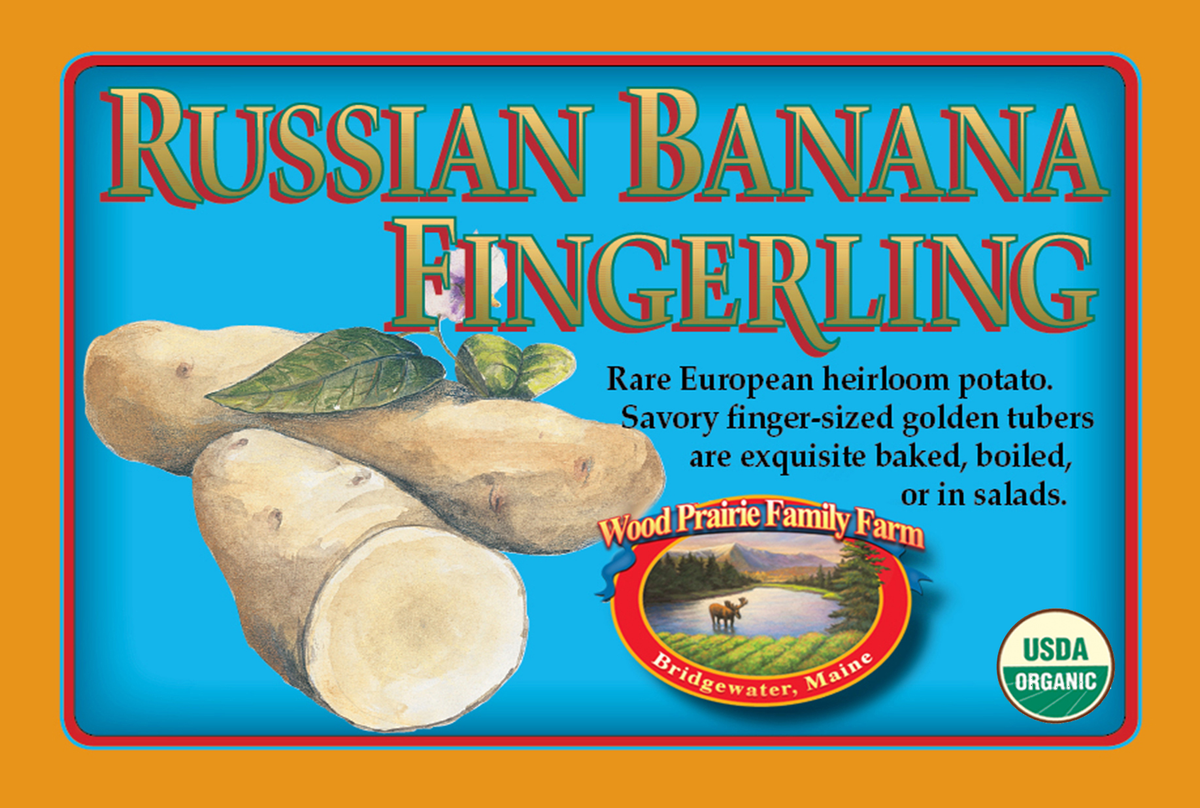 SUPREME. FINGERLING. Organic Russian Banana Certified Seed Potatoes image 0