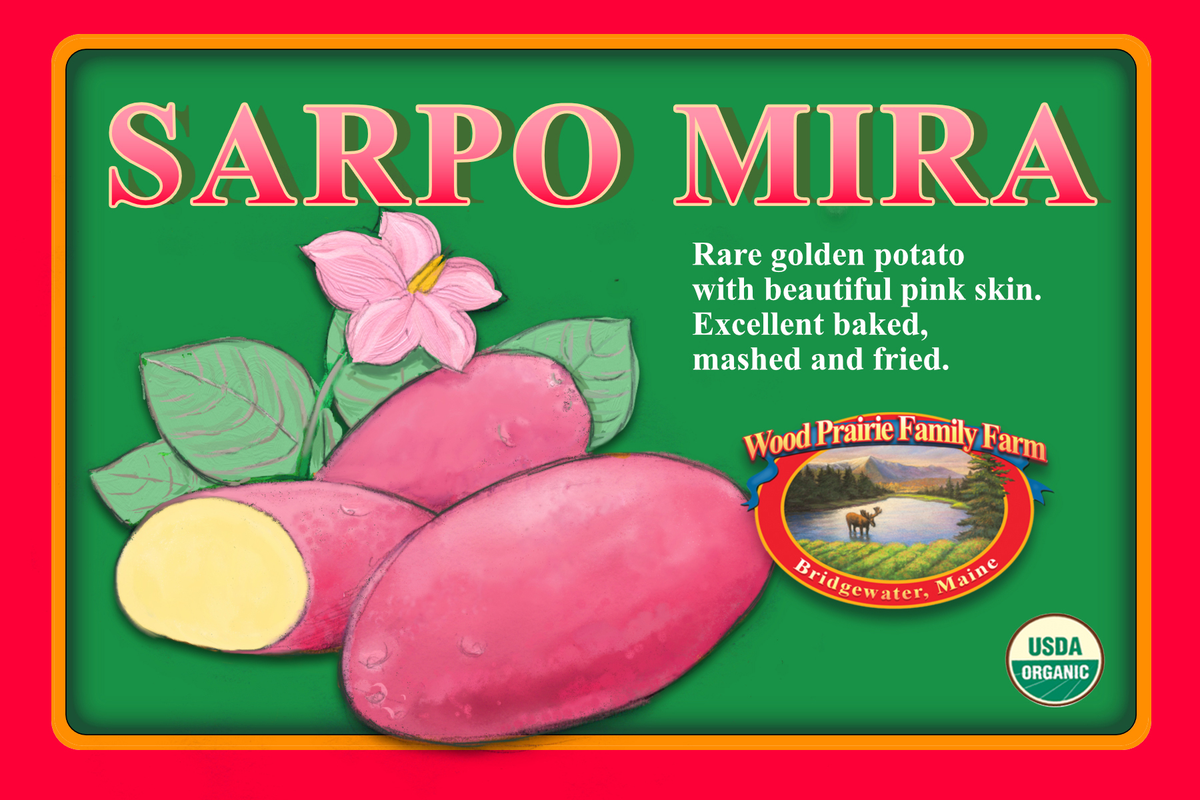 SUPREME. Organic Sarpo Mira Certified Seed Potatoes image 0