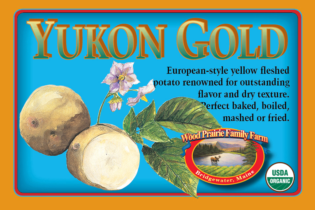 Organic Yukon Gold Certified Seed Potatoes image 0