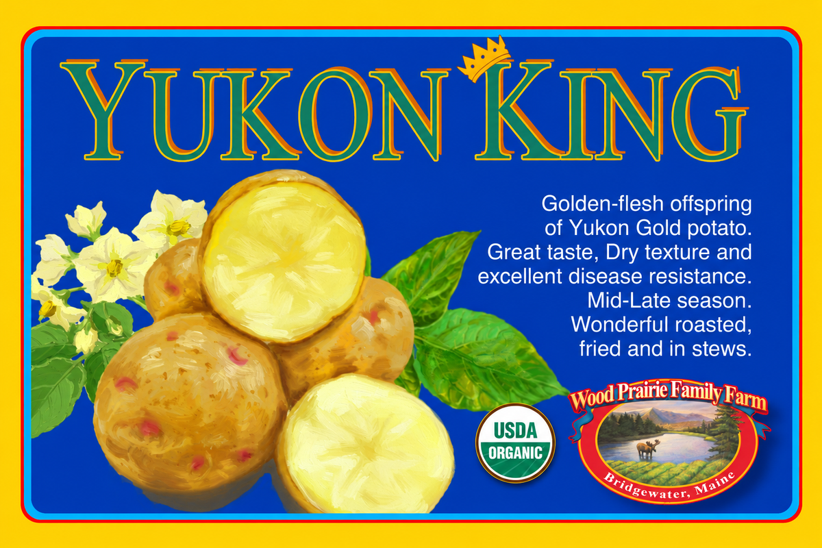 Organic Certified Seed Potatoes