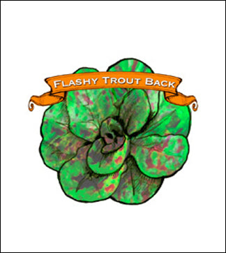Lettuce Seed. Organic Flashy Trout Back. Heirloom. Pkt. image 0