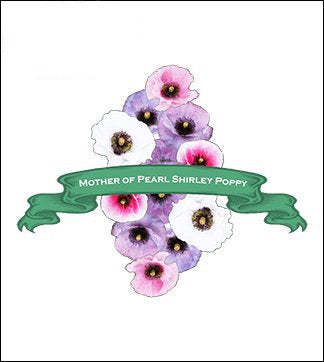 Poppy Seed. Organic Mother of Pearl Shirley. Pkt. image 0