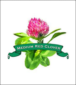 Clover Seed. Organic Medium Red. image 0