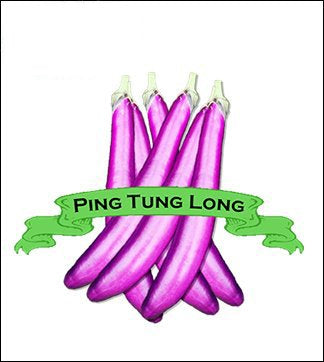 Eggplant Seed. Organic Ping Tung Long. Heirloom. Pkt. image 0