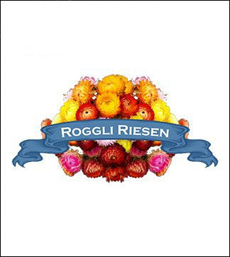 Strawflower Seed. Organic Roggli Riesen Mix. Pkt. image 0