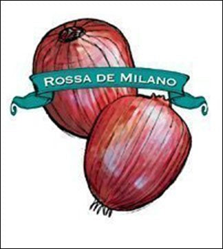 Onion Seed. Organic Rossa di Milano. Heirloom. Pkt. image 0