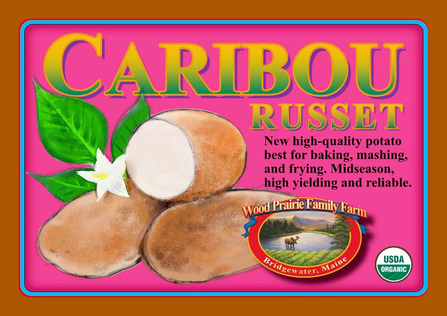 Organic Caribou Russet Certified Seed Potatoes image 0