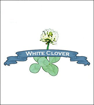 Clover Seed. Organic Rivendell White. image 0