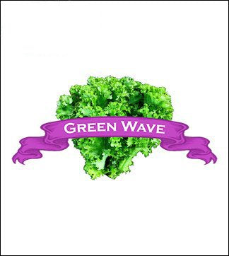 Specialty Greens Seed. Organic Green Wave Mustard. Pkt. image 0