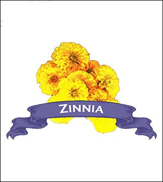 Zinnia Seed. Organic Giant Yellow. Pkt. image 0
