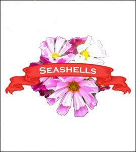 Cosmos Seed. Organic Seashell. Pkt. image 0