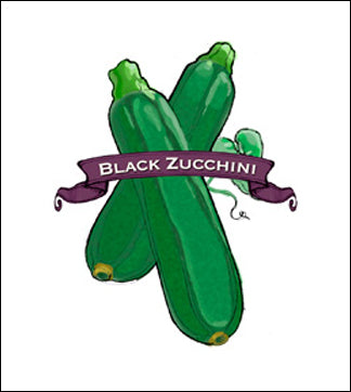Squash Seed, Summer. Organic Black Zucchini. Heirloom. Pkt. image 0
