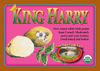 Organic King Harry Certified Seed Potatoes image 0