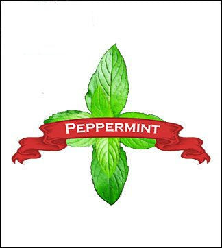 Mint Seed. Organic Peppermint. Pkt. image 0