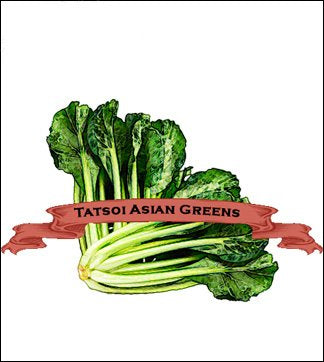 Specialty Greens Seed. Organic Tat Soi. Pkt. image 0