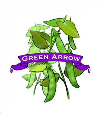 Pea Seed. Organic Green Arrow. Heirloom. Pkt. image 0