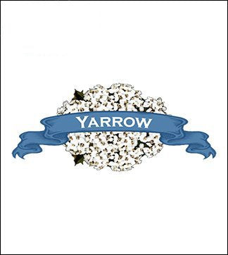 Yarrow Seed. Organic White Yarrow Heirloom. Pkt. image 0