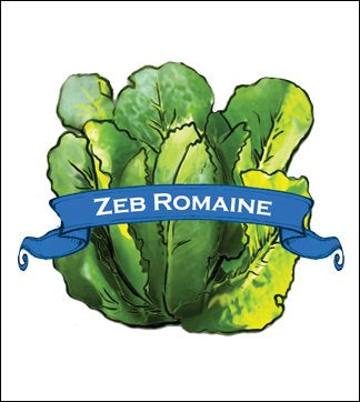 Lettuce Seed. Organic Zeb Romaine. Pkt. image 0