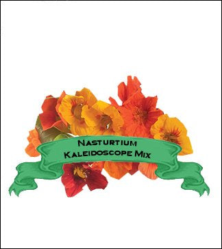 Nasturtium Seed. Organic Kaleidoscope Mix. Pkt. image 0