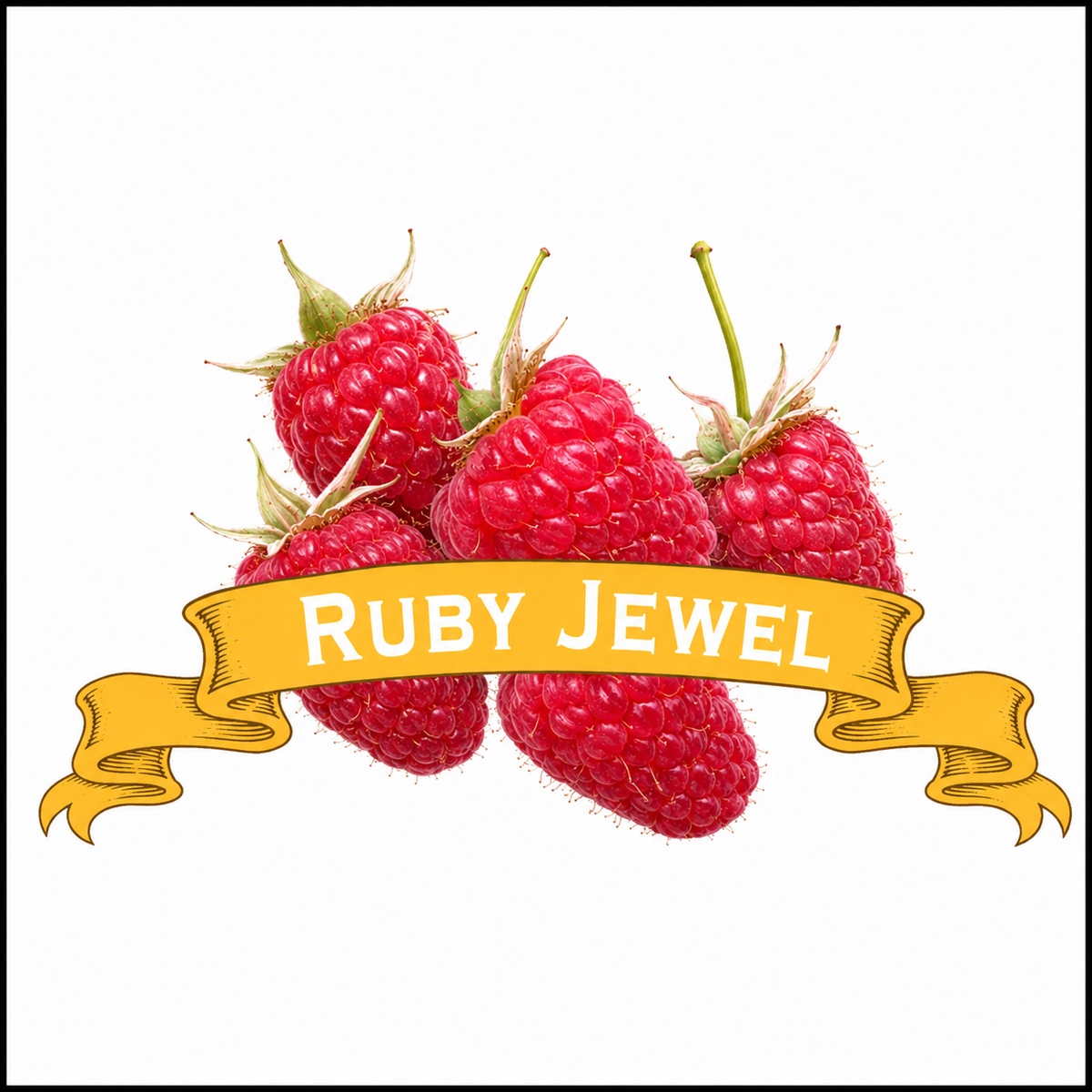 Raspberry Plants. Organic Ruby Jewel. image 0