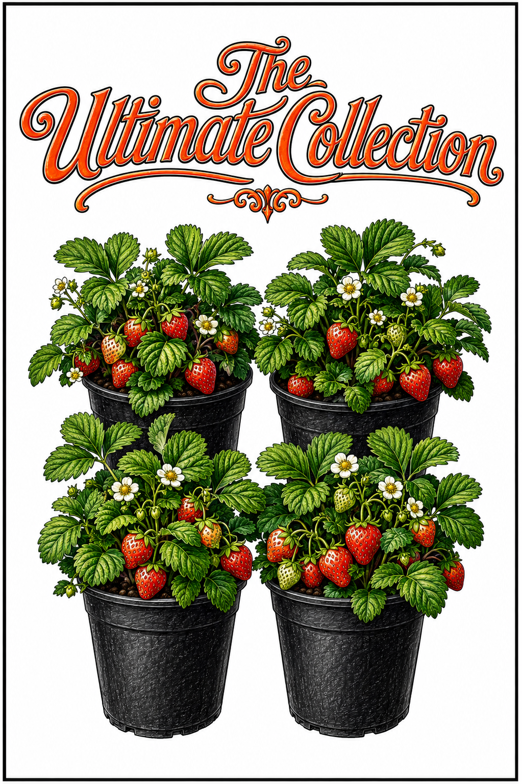 The Ultimate Organic Potted Strawberry Collection